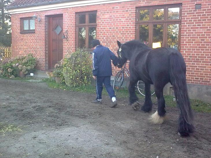 {{currentPhoto.altText}} billede {{currentPhoto.number}}