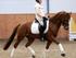 Min nye pony Lasco
