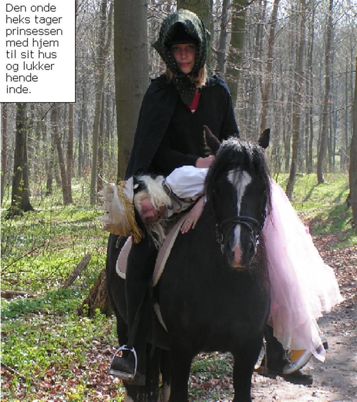 Welsh sek. C Dynamite Balina - gammel part - Et billede fra en tegneserie vi lavede - Jeg var heks, og Karen prinsesse :D billede 4