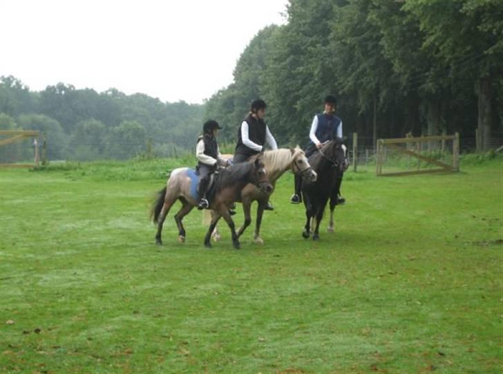 Welsh sek. C Dynamite Balina - gammel part - Opvisning. Mig på Balina, Elisabeth på Futti og Karen på Mira.
Vi laver mølle (: billede 5