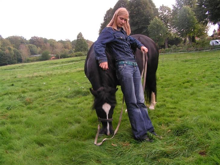 Welsh sek. C Dynamite Balina - gammel part - Mig og Balina efter løsspringning.
Hun var så strid, stod bare og masede - men på det her billede er vi blevet "gode venner" igen (: billede 17