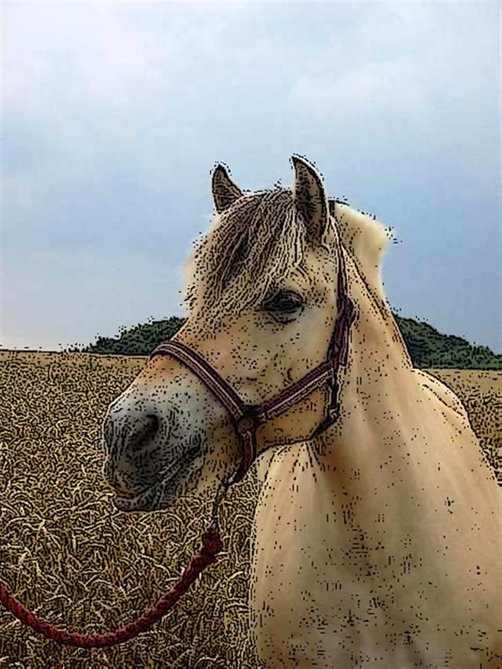 Tegnefilms figur til andre - Molly billede 127