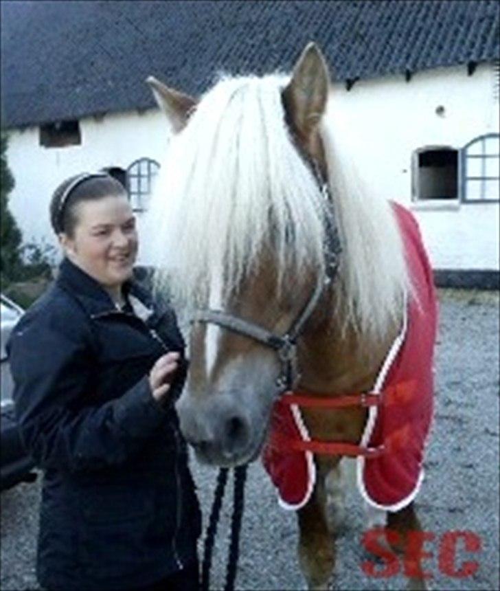 Til Sara Haupt - FOTO: Sarah Christiansen billede 14