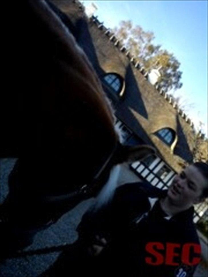 Til Sara Haupt - FOTO: Sarah Christiansen billede 15