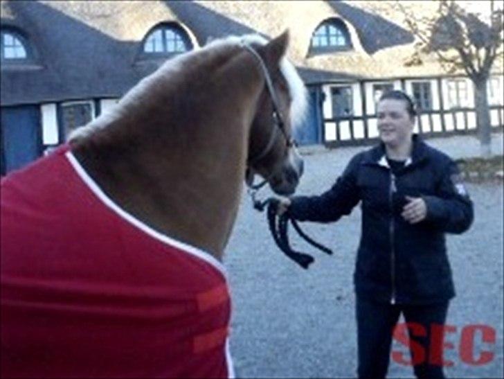 Til Sara Haupt - FOTO: Sarah Christiansen billede 17