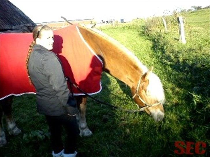 Til Sara Haupt - FOTO: Sarah Christiansen billede 2