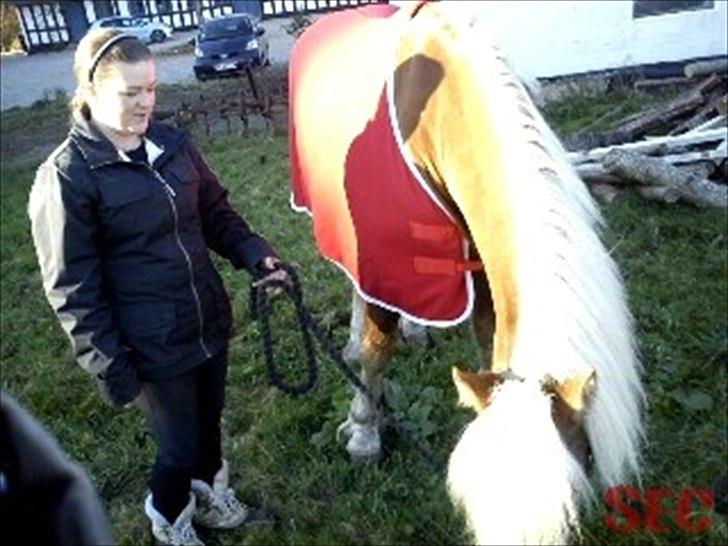 Til Sara Haupt - FOTO: Sarah Christiansen billede 19