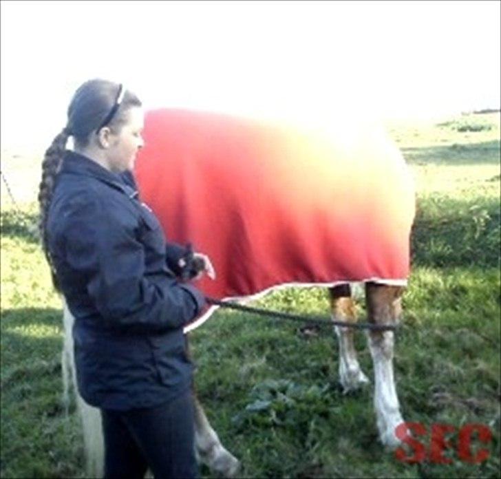 Til Sara Haupt - FOTO: Sarah Christiansen billede 1