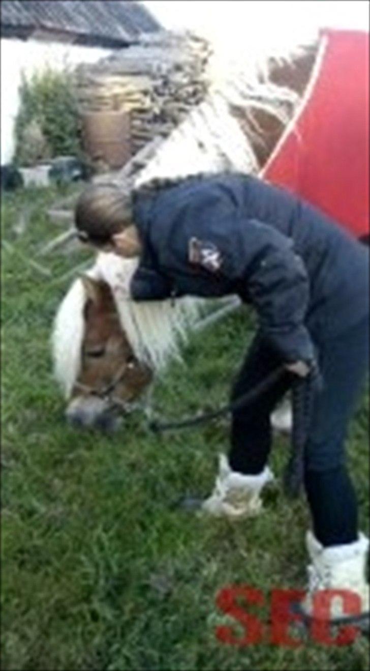 Til Sara Haupt - FOTO: Sarah Christiansen billede 46