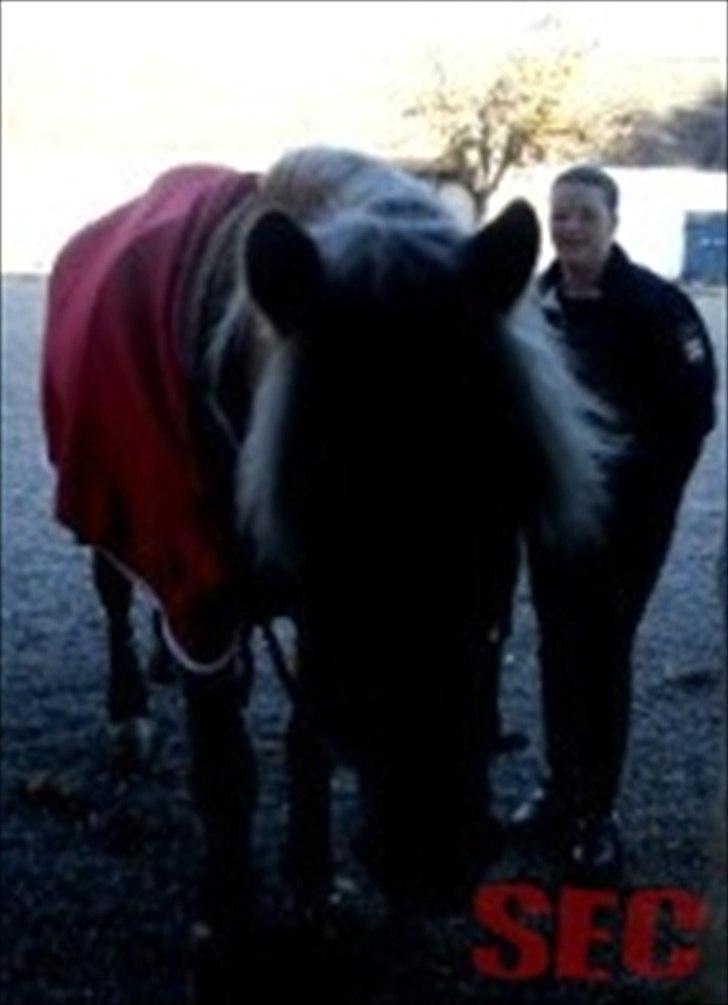 Til Sara Haupt - FOTO: Sarah Christiansen billede 48