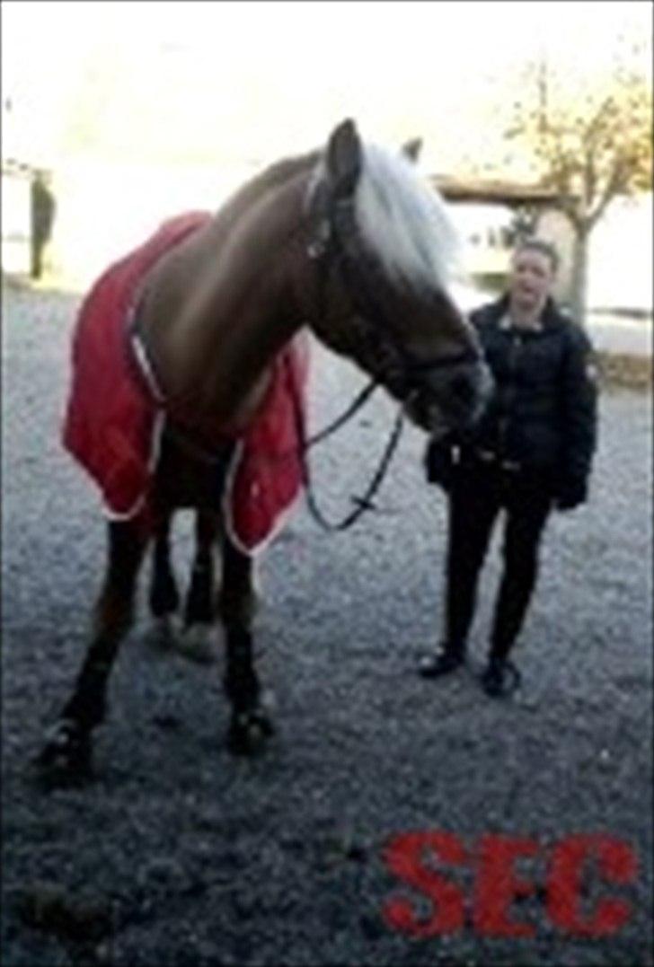 Til Sara Haupt - FOTO: Sarah Christiansen billede 49