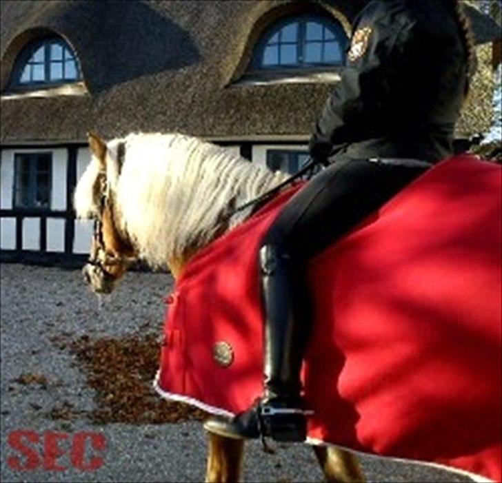 Til Sara Haupt - FOTO: Sarah Christiansen billede 53