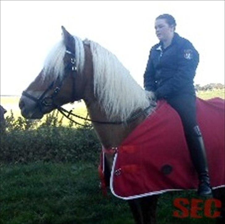 Til Sara Haupt - FOTO: Sarah Christiansen billede 59