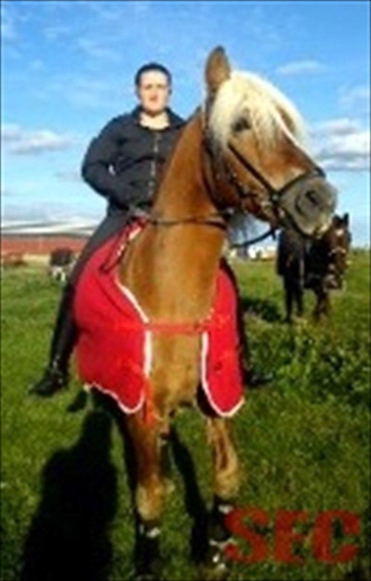 Til Sara Haupt - FOTO: Sarah Christiansen billede 61