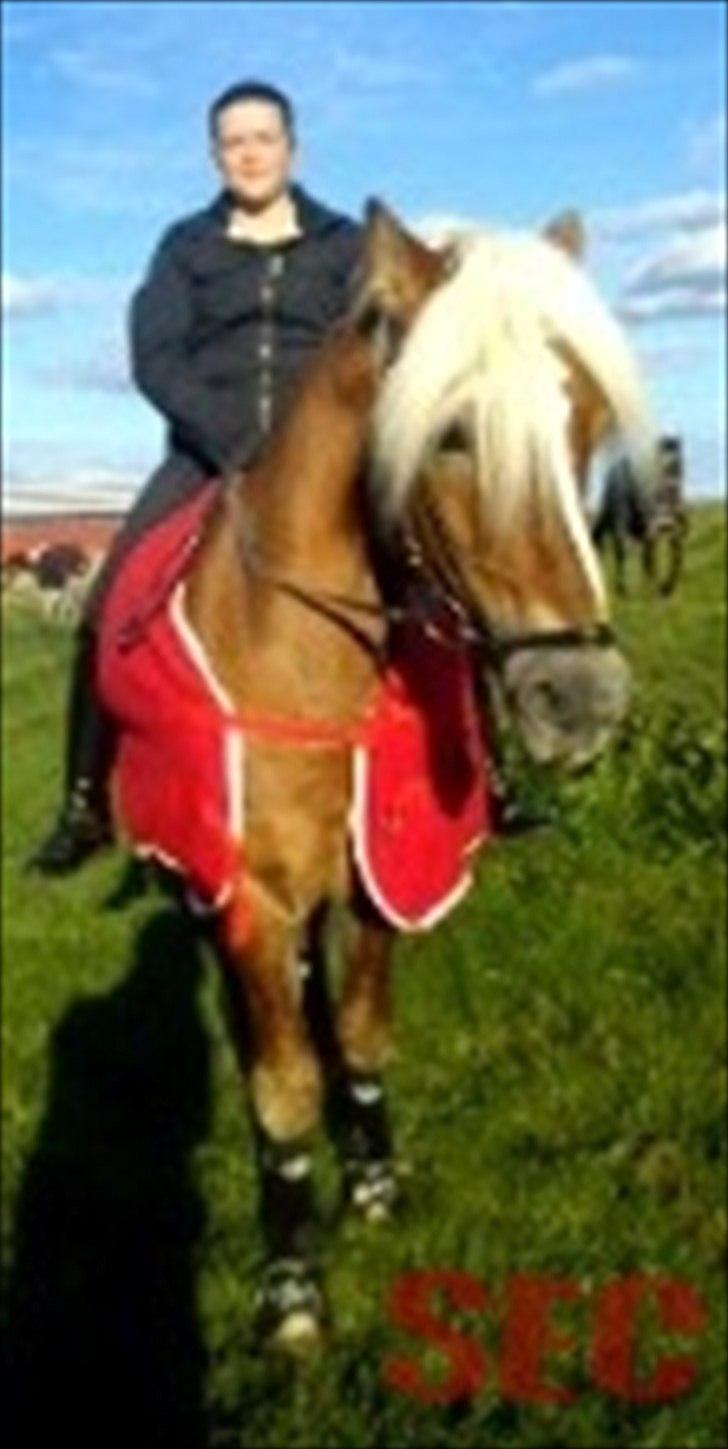 Til Sara Haupt - FOTO: Sarah Christiansen billede 62