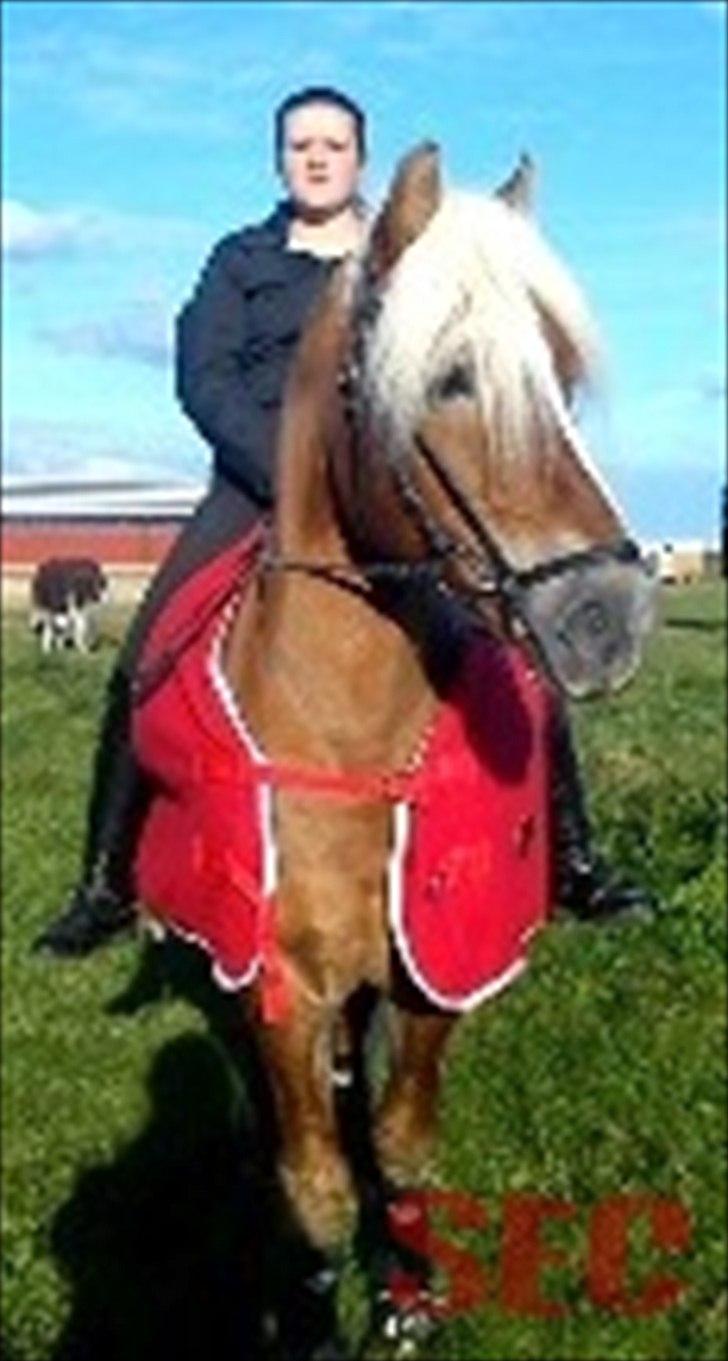 Til Sara Haupt - FOTO: Sarah Christiansen billede 63