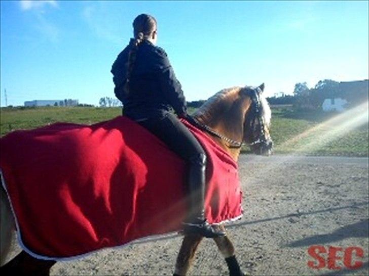 Til Sara Haupt - FOTO: Sarah Christiansen billede 66