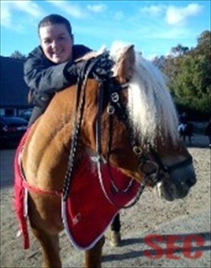 Til Sara Haupt - FOTO: Sarah Christiansen billede 67