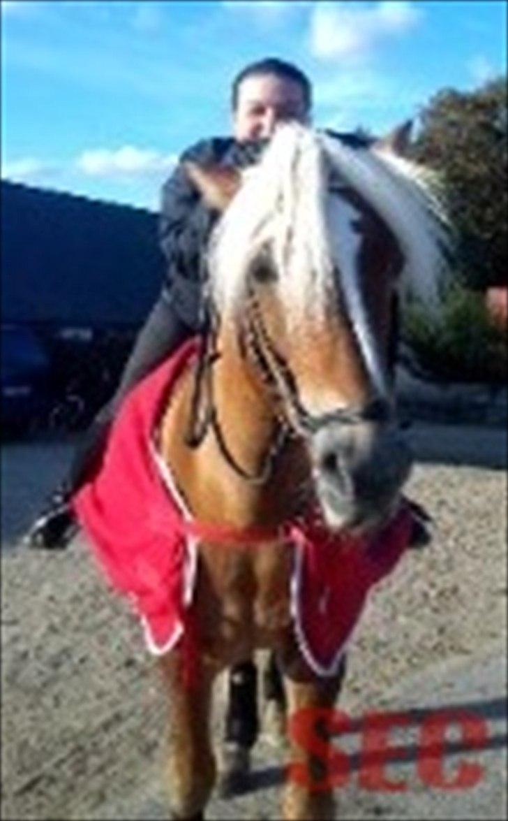 Til Sara Haupt - FOTO: Sarah Christiansen billede 68