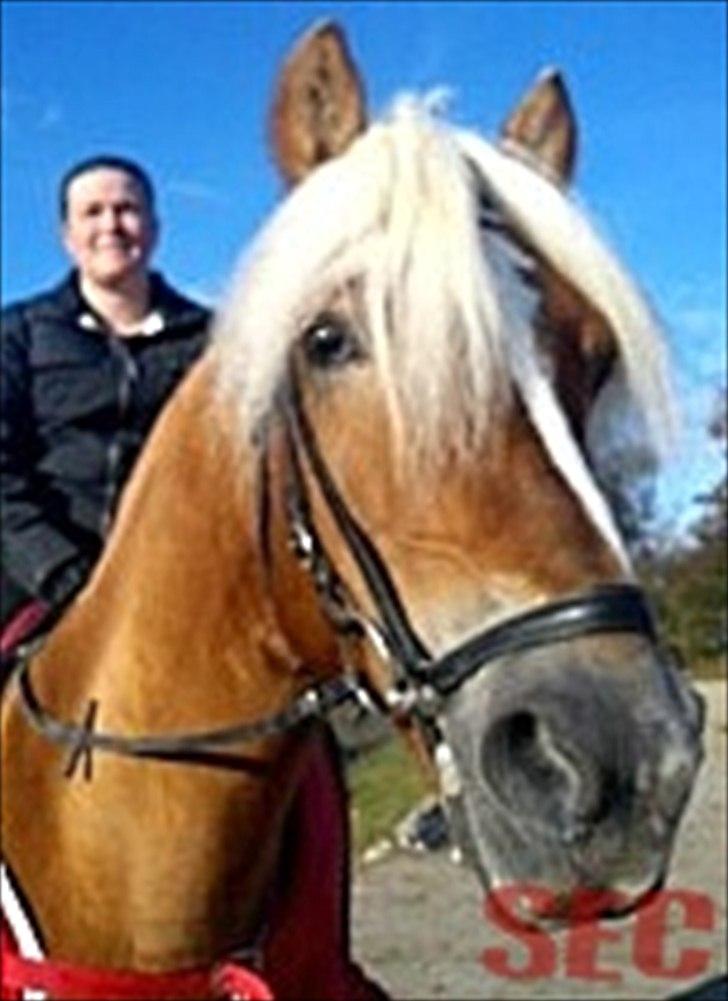 Til Sara Haupt - FOTO: Sarah Christiansen billede 74