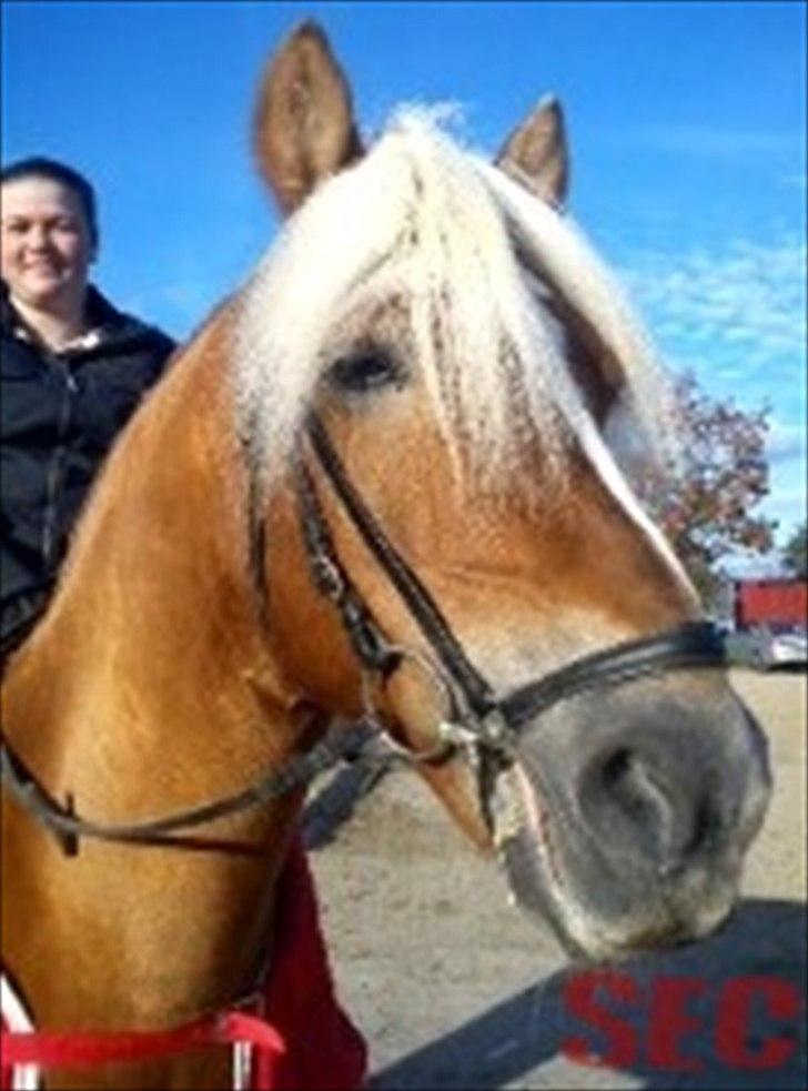 Til Sara Haupt - FOTO: Sarah Christiansen billede 76