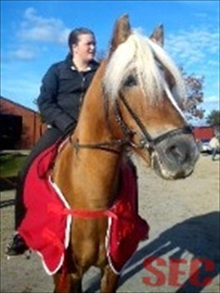 Til Sara Haupt - FOTO: Sarah Christiansen billede 85