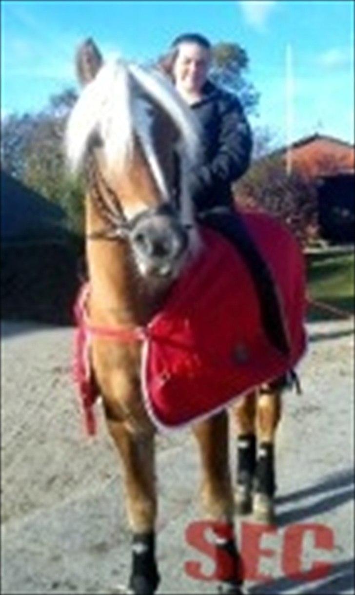 Til Sara Haupt - FOTO: Sarah Christiansen billede 86