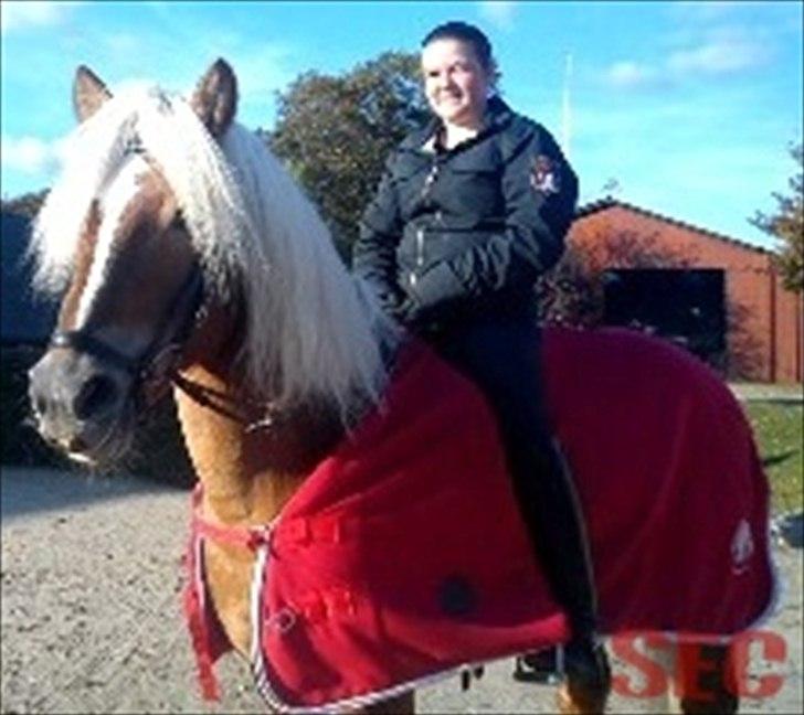 Til Sara Haupt - FOTO: Sarah Christiansen billede 87