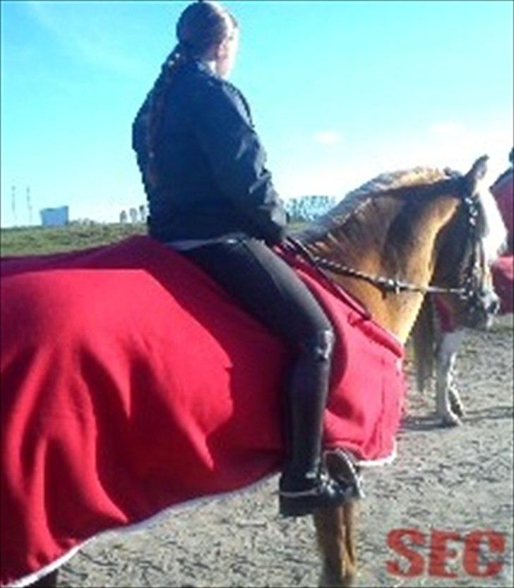 Til Sara Haupt - FOTO: Sarah Christiansen billede 89