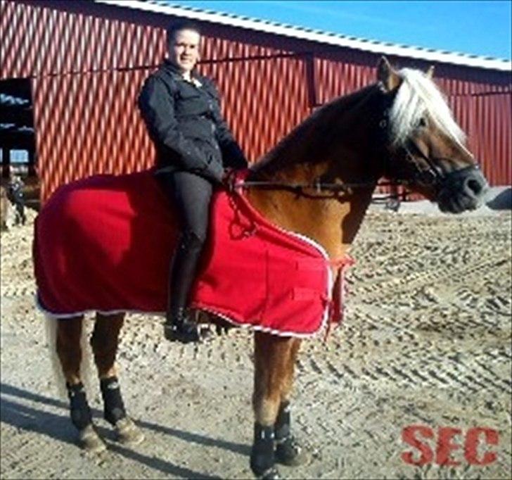 Til Sara Haupt - FOTO: Sarah Christiansen billede 93