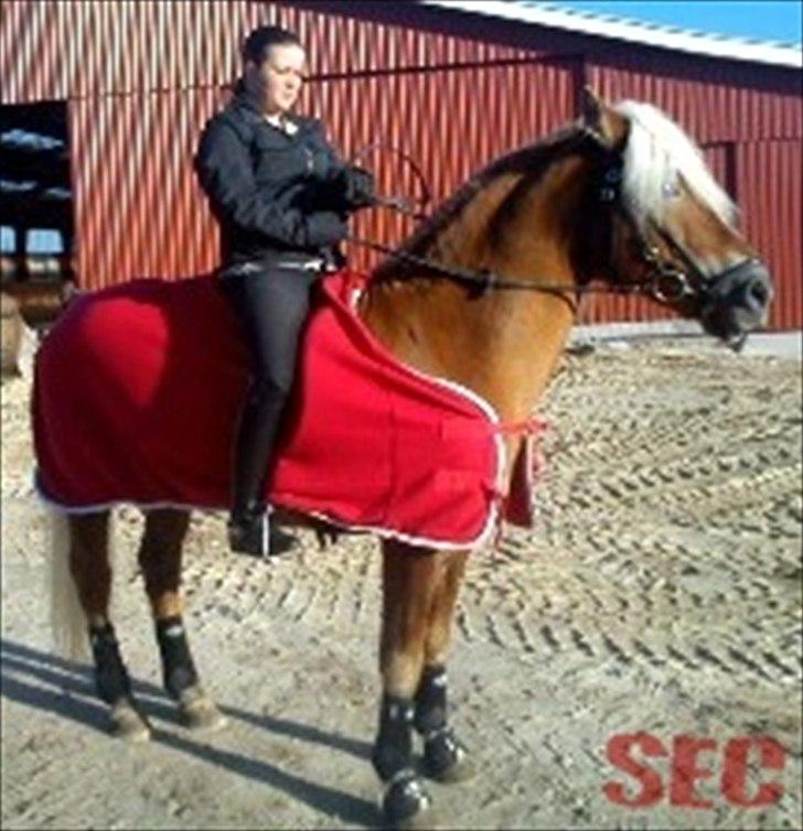 Til Sara Haupt - FOTO: Sarah Christiansen billede 94