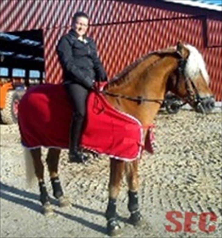 Til Sara Haupt - FOTO: Sarah Christiansen billede 95