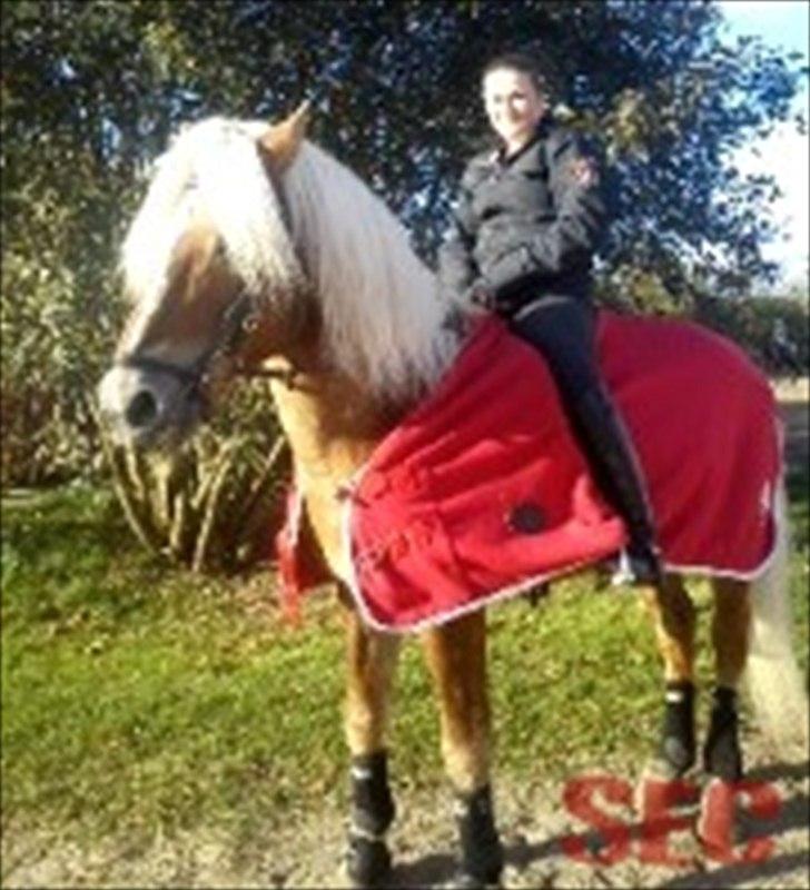 Til Sara Haupt - FOTO: Sarah Christiansen billede 96