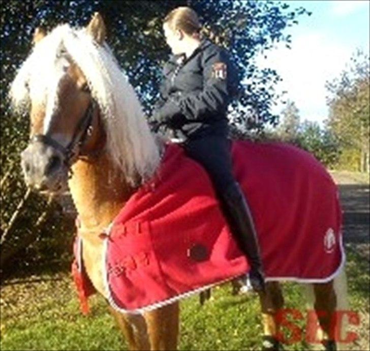 Til Sara Haupt - FOTO: Sarah Christiansen billede 97