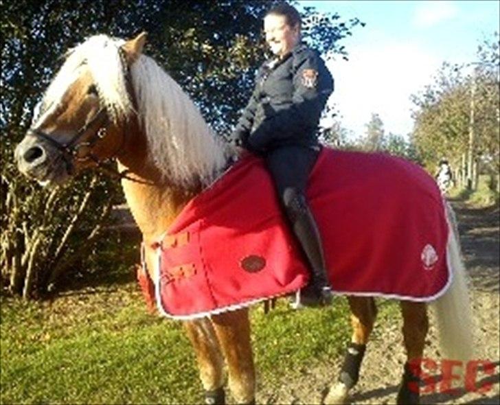 Til Sara Haupt - FOTO: Sarah Christiansen billede 98