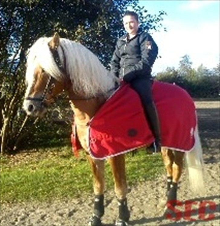 Til Sara Haupt - FOTO: Sarah Christiansen billede 99