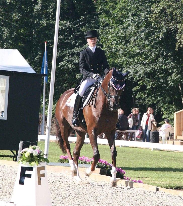 CDI3*  parken 2010 Line Grubak og Zorina Z billede 1
