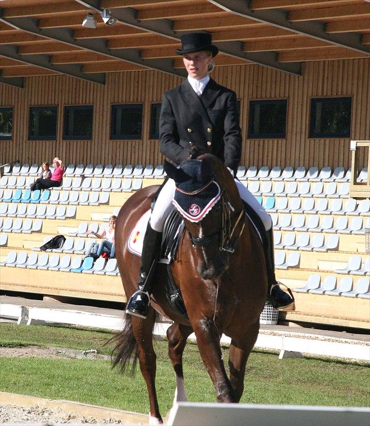 CDI3*  parken 2010 Line Grubak og Zorina Z billede 3
