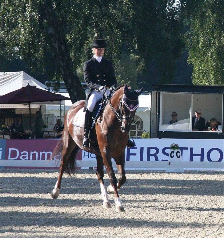 CDI3*  parken 2010 Line Grubak og Zorina Z billede 4
