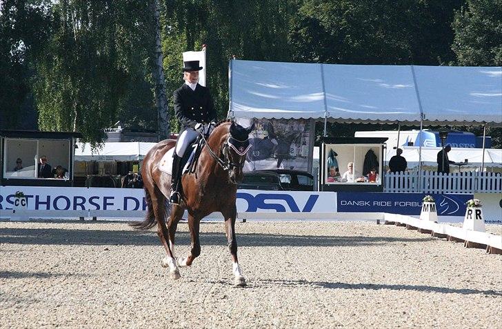 CDI3*  parken 2010 Line Grubak og Zorina Z billede 5