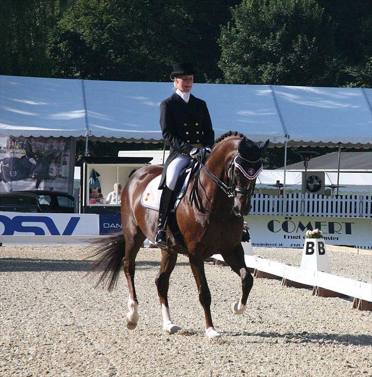 CDI3*  parken 2010 Line Grubak og Zorina Z billede 6