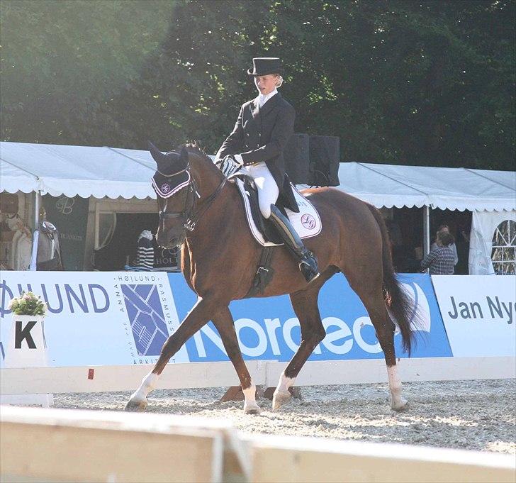 CDI3*  parken 2010 Line Grubak og Zorina Z billede 8