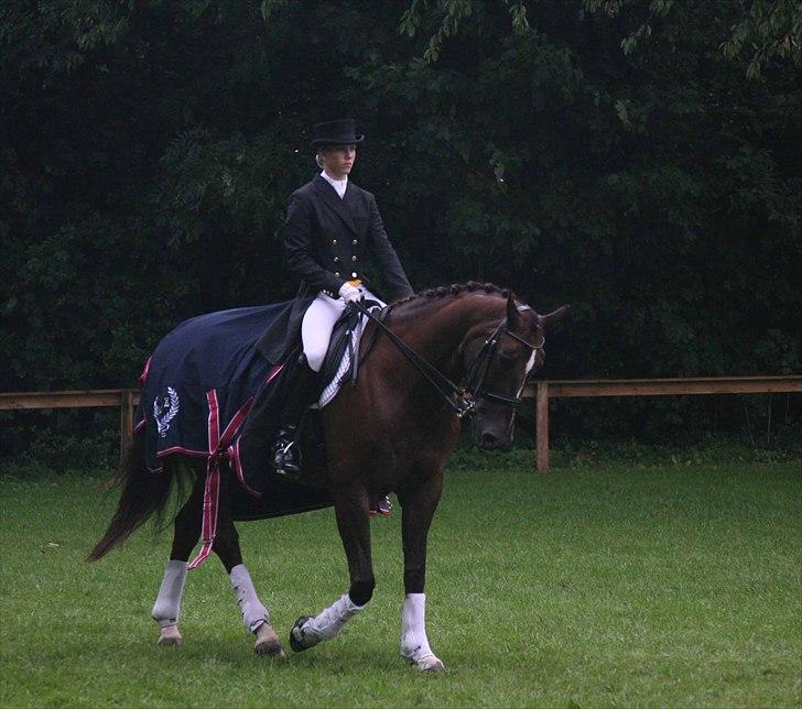 CDI3*  parken 2010 Line Grubak og Zorina Z billede 9