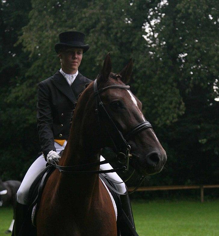 CDI3*  parken 2010 Line Grubak og Zorina Z billede 10