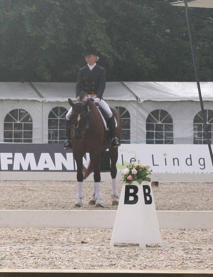 CDI3*  parken 2010 Line Grubak og Zorina Z billede 13