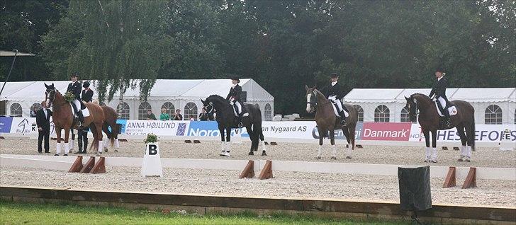 CDI3*  parken 2010 Line Grubak og Zorina Z billede 15