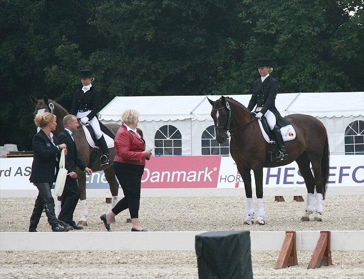 CDI3*  parken 2010 Line Grubak og Zorina Z billede 16