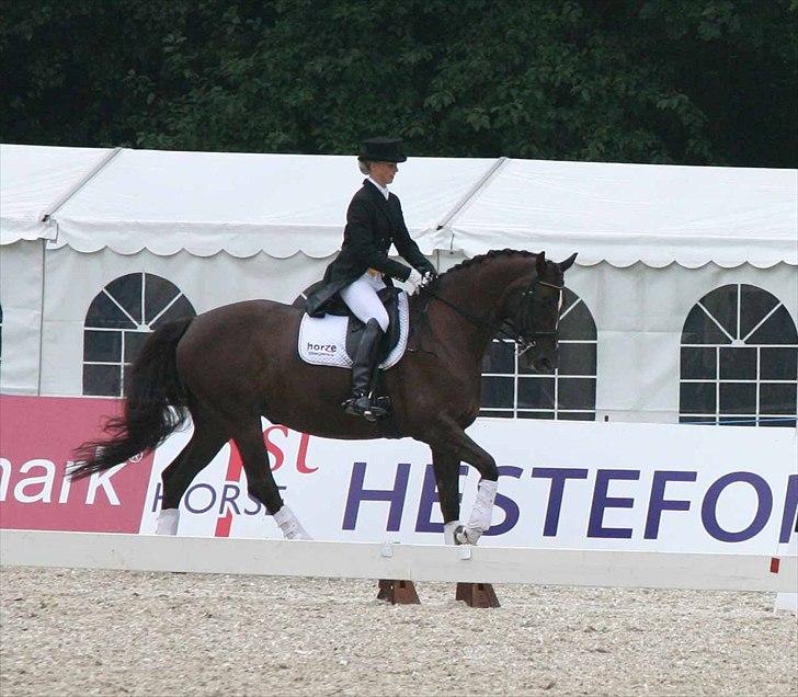 CDI3*  parken 2010 Line Grubak og Zorina Z billede 19