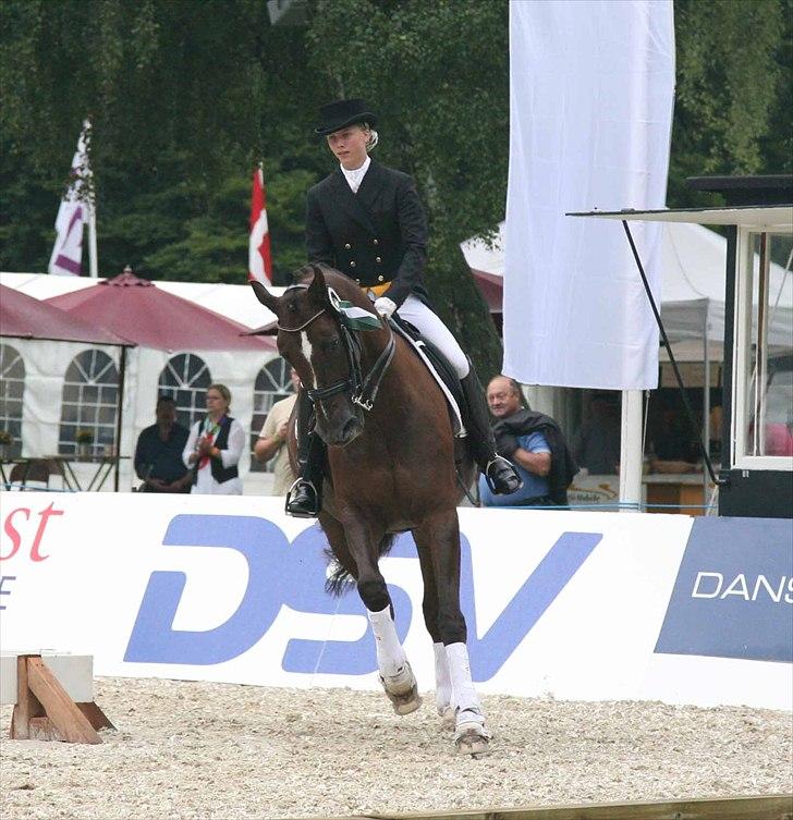 CDI3*  parken 2010 Line Grubak og Zorina Z billede 20