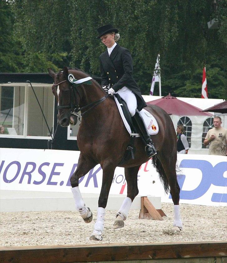 CDI3*  parken 2010 Line Grubak og Zorina Z billede 21